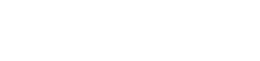 HiddenLayer logo